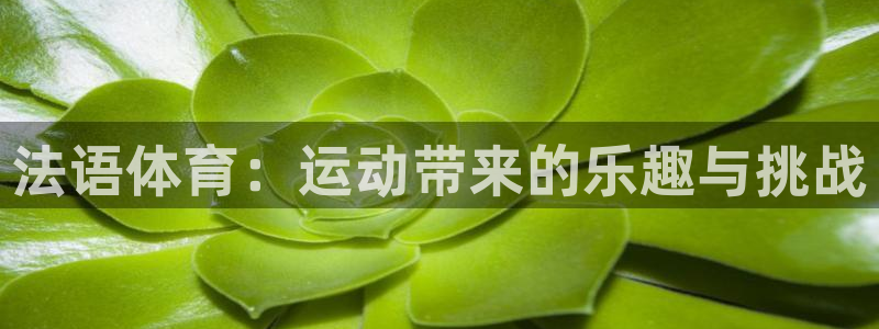 法语体育：运动带来的乐趣与挑战