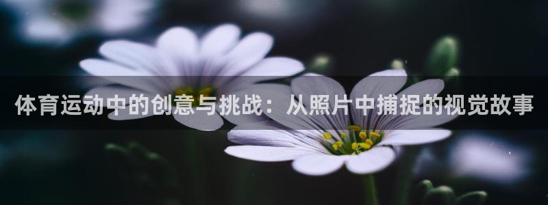 体育运动中的创意与挑战：从照片中捕捉的视觉故事